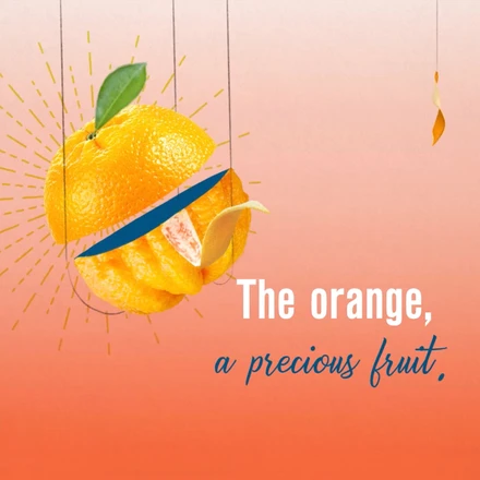 cointreau motion