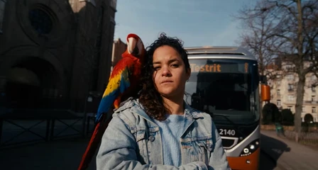 87s x STIB-MIV