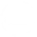 BIC x 87s