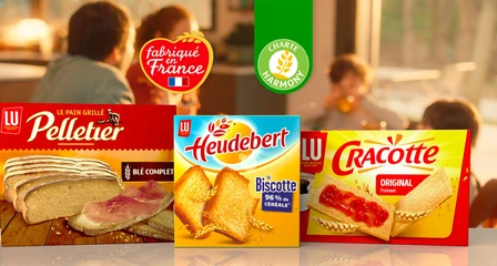 Bannière Mondelez x 87s